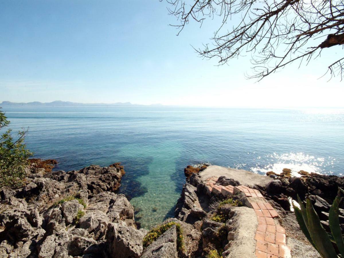 Alcanada Torre Mayor, Solo 50 Metros Del Mar Alcudia  Exteriör bild